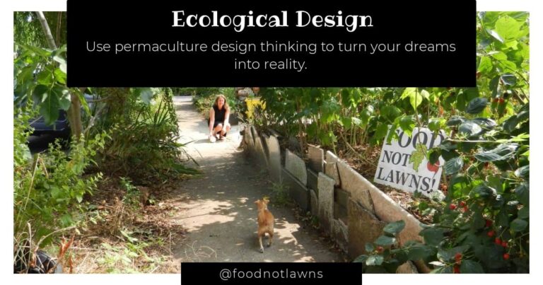 ecological design