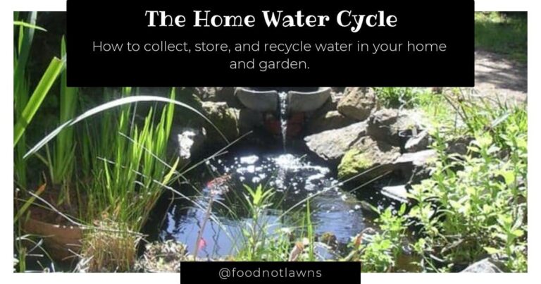permaculture water systems