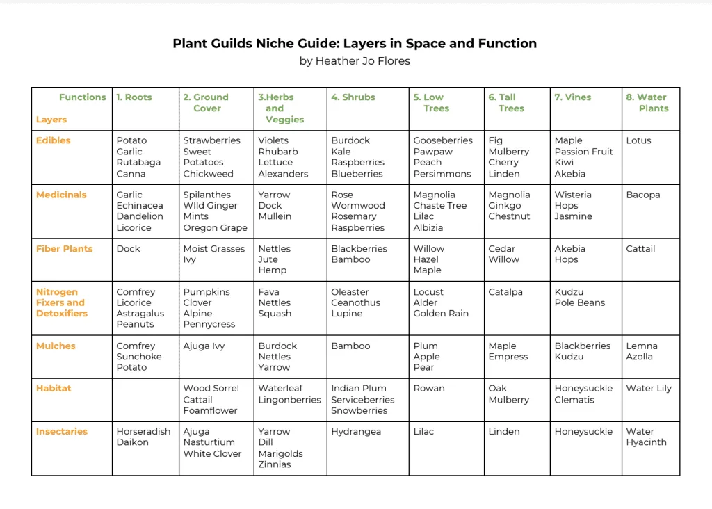 Screenshot 2020 10 31 at 18.33.37