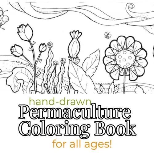 coloringbook coloringbook