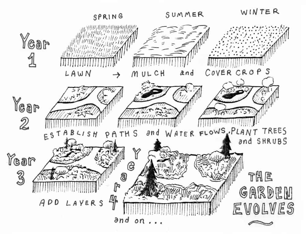 01e08956de7b2442c78b34f57ce031c8 food not lawns evolution